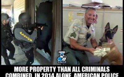 TEXT CORRECTED: But Without Organized Crime “Government” What Would We do About Physical Protection, Policing & Crime?