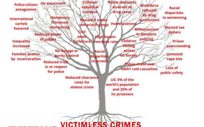 The Art of Liberty Foundation Updates the Corbett Report in the Solutions Watch 2025 Year in Review