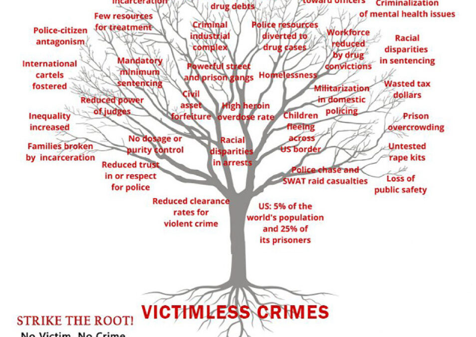 The Art of Liberty Foundation Updates the Corbett Report in the Solutions Watch 2025 Year in Review